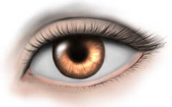 Staunton Eye Clinic